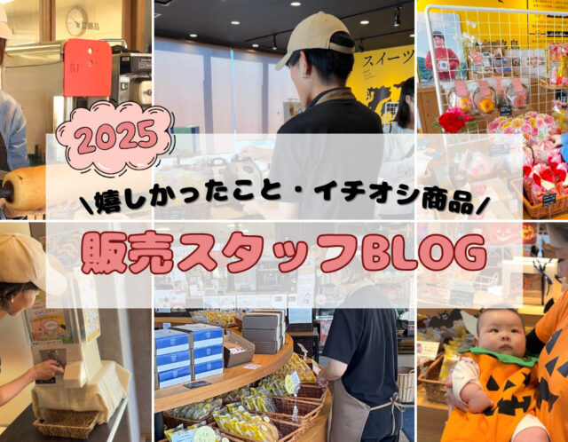 maarufactory販売スタッフBLOG ～2025年“うれしい瞬間”＆イチオシばぁむ特集～